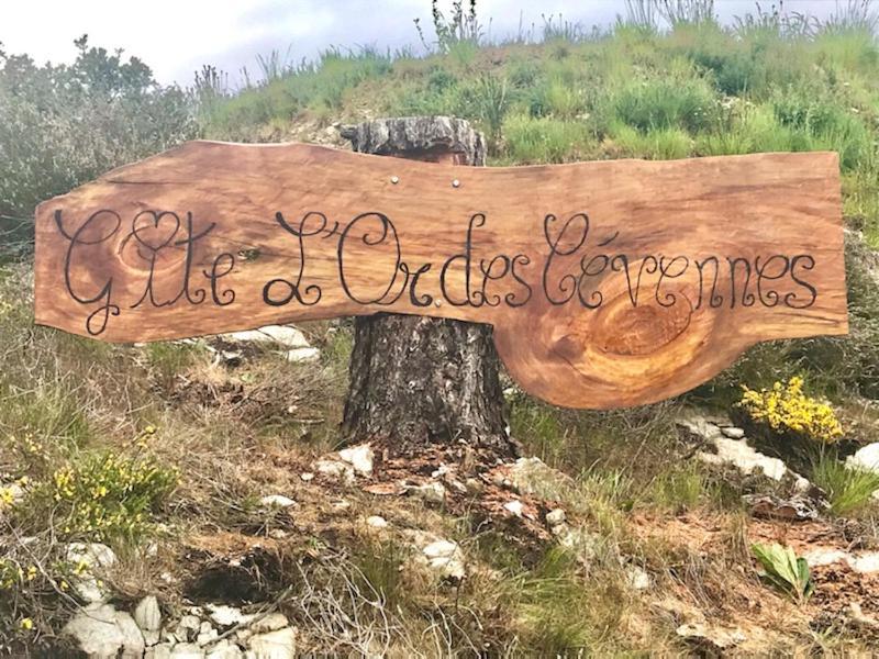 Gite L'Or Des Cevennes Saint-Andre-Capceze ภายนอก รูปภาพ