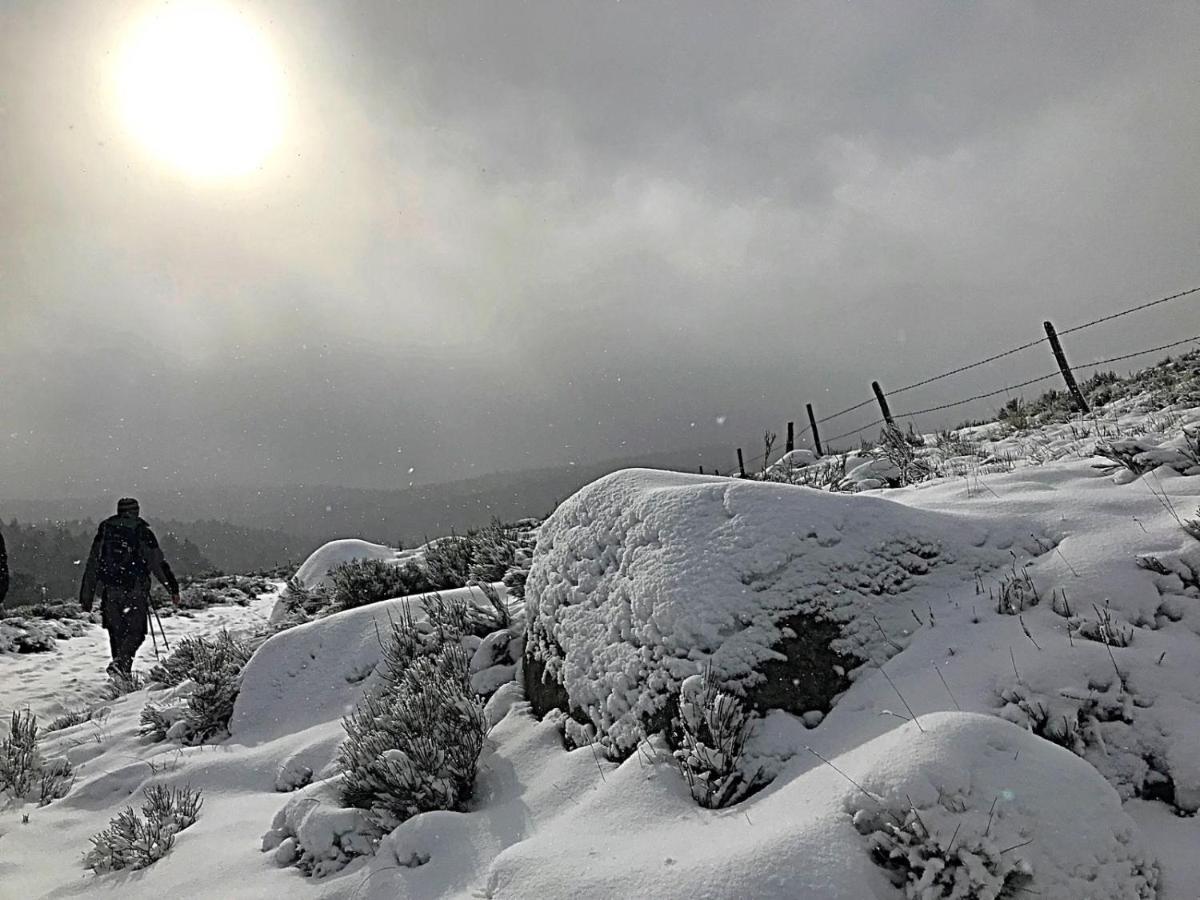 Gite L'Or Des Cevennes Saint-Andre-Capceze ภายนอก รูปภาพ