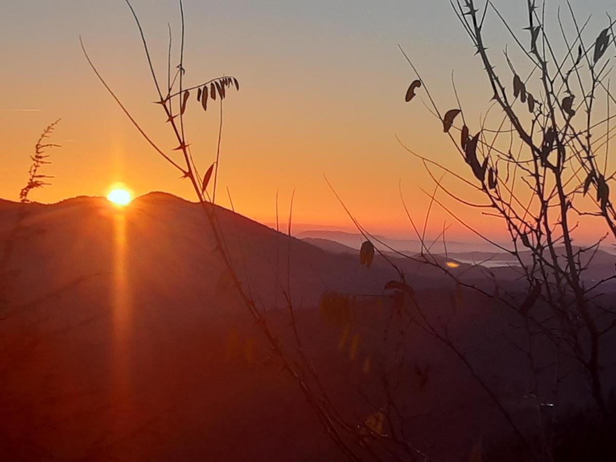 Gite L'Or Des Cevennes Saint-Andre-Capceze ภายนอก รูปภาพ