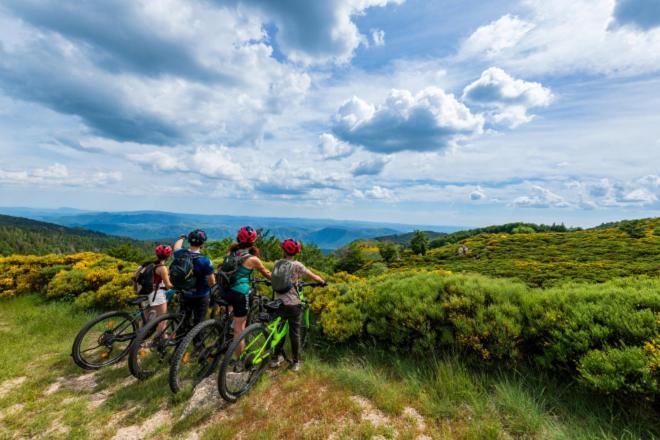 Gite L'Or Des Cevennes Saint-Andre-Capceze ภายนอก รูปภาพ