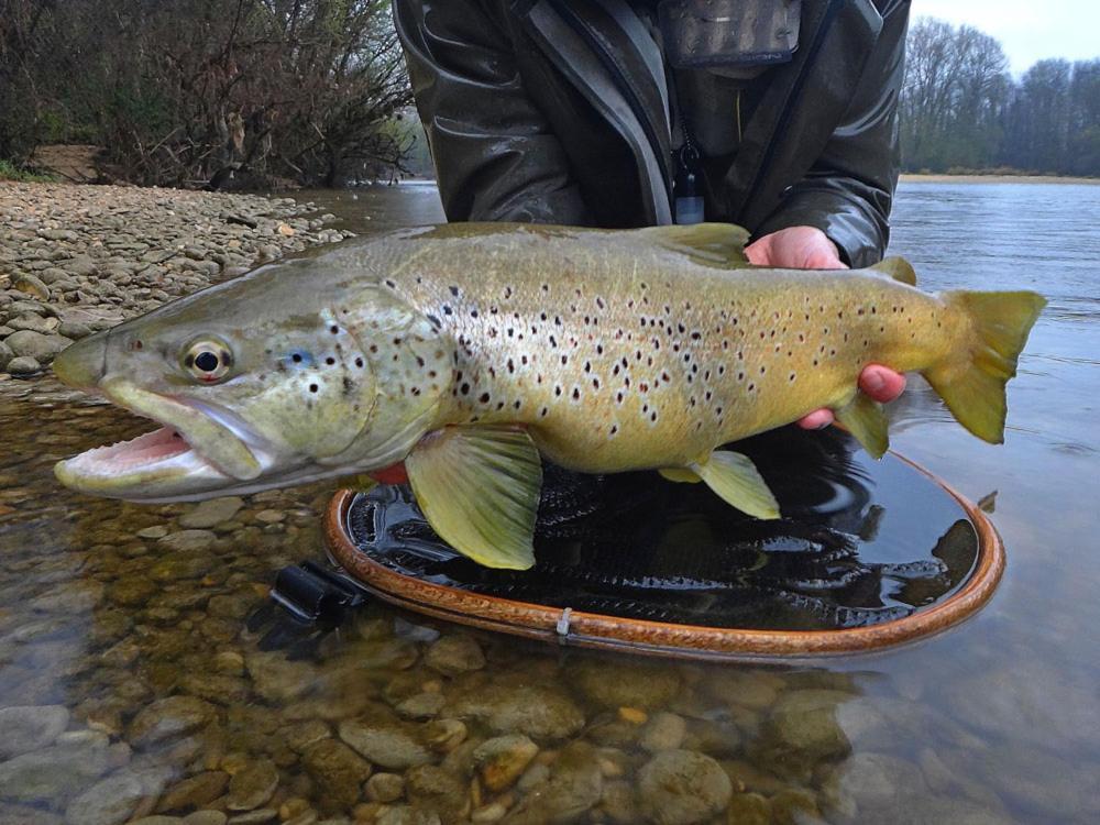 Gite L'Or Des Cevennes Saint-Andre-Capceze ภายนอก รูปภาพ