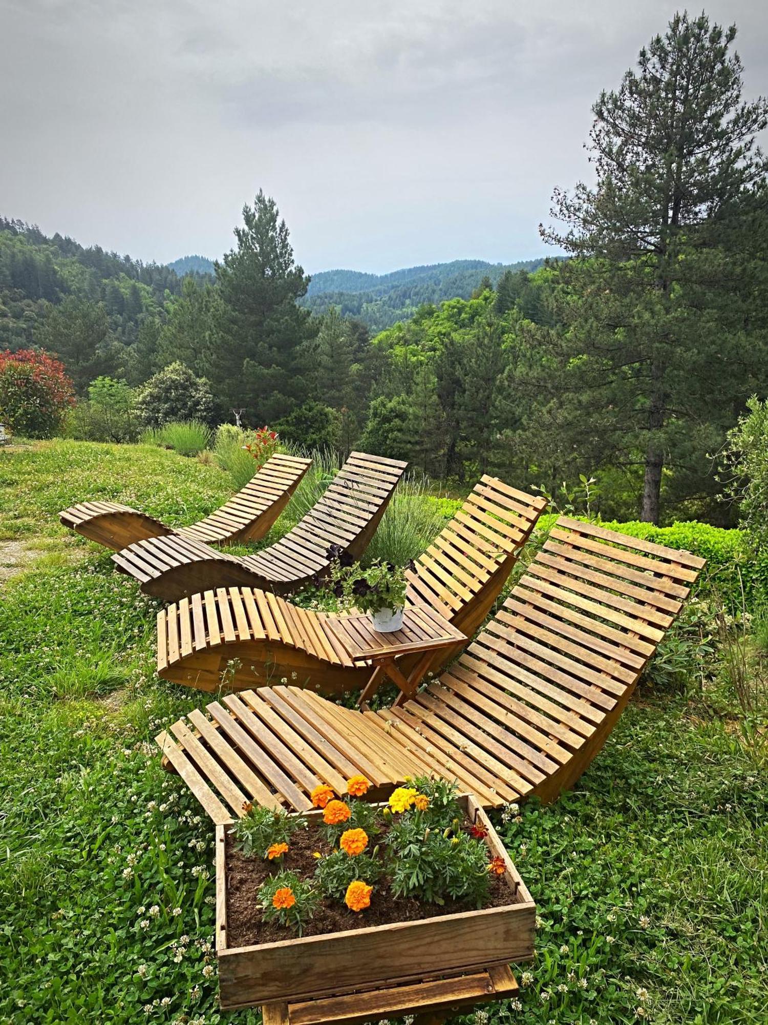 Gite L'Or Des Cevennes Saint-Andre-Capceze ภายนอก รูปภาพ