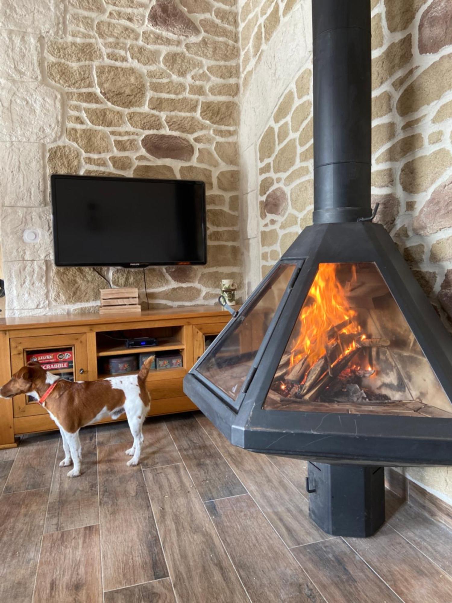 Gite L'Or Des Cevennes Saint-Andre-Capceze ภายนอก รูปภาพ