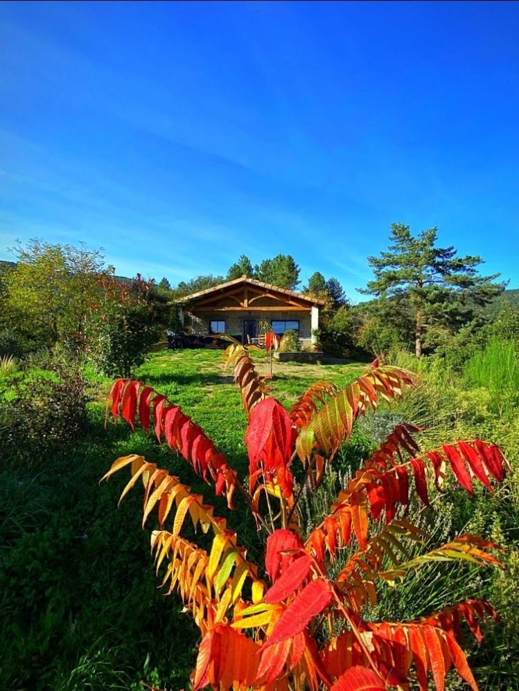Gite L'Or Des Cevennes Saint-Andre-Capceze ภายนอก รูปภาพ