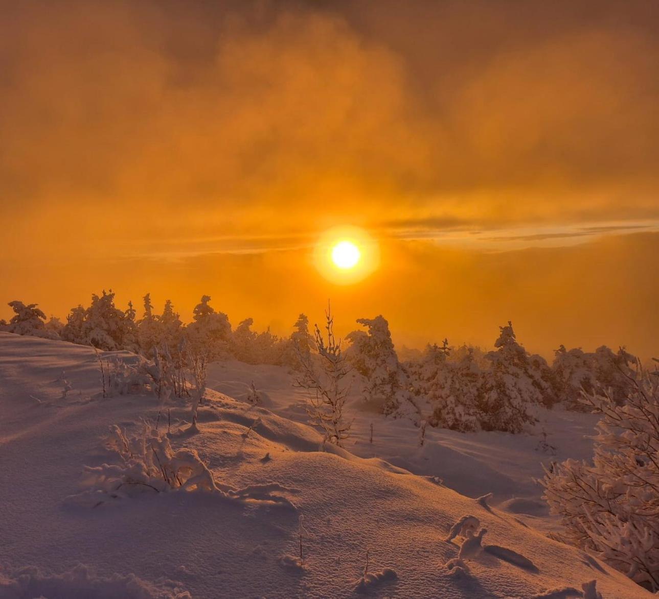 Gite L'Or Des Cevennes Saint-Andre-Capceze ภายนอก รูปภาพ
