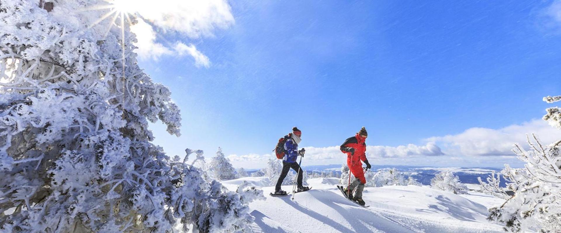 Gite L'Or Des Cevennes Saint-Andre-Capceze ภายนอก รูปภาพ